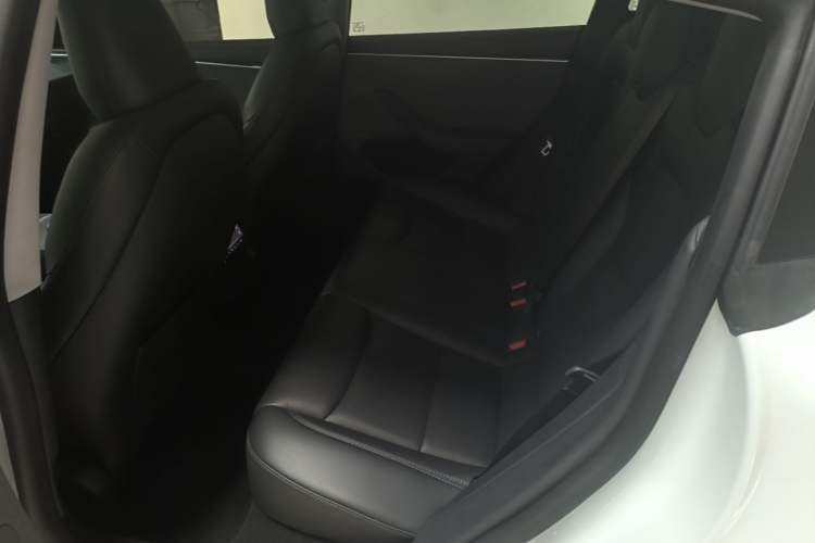 Used Tesla Model 3 2023 Rear-Wheel-Drive Version Left Rear Seat