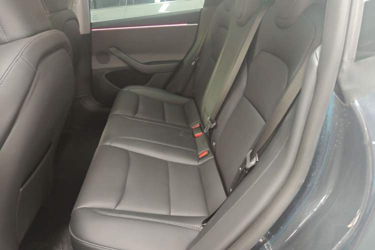 Used Tesla Model 3 2023 Rear-Wheel-Drive Version Left Rear Seat
