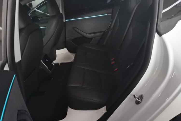 Used Tesla Model 3 2023 Long-Range All-Wheel-Drive Version Left Rear Seat