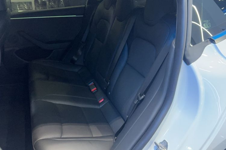 Used Tesla Model 3 2023 Long-Range All-Wheel-Drive Version Left Rear Seat