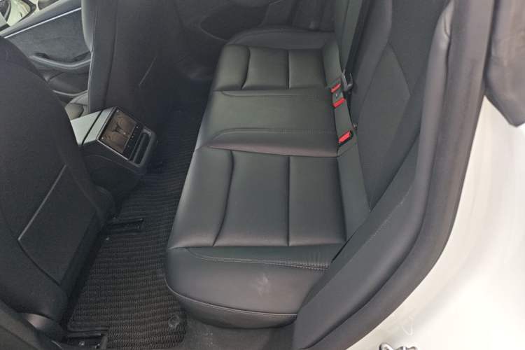 Used Tesla Model 3 2023 Long-Range All-Wheel-Drive Version Left Rear Seat