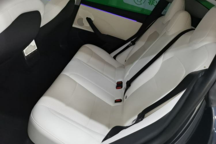 Used Tesla Model 3 2023 Rear-Wheel-Drive Version Left Rear Seat