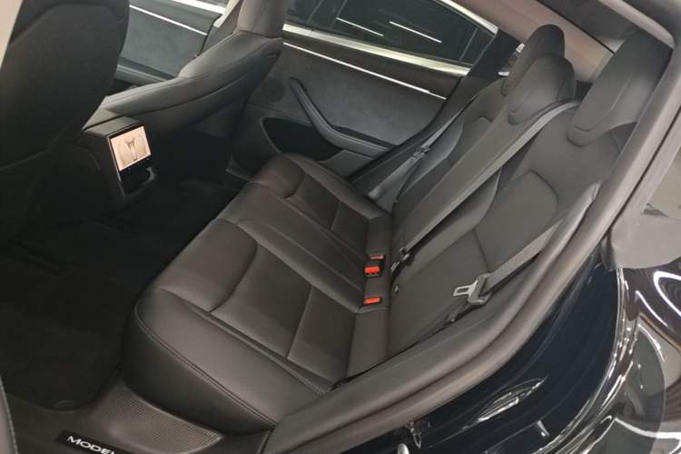 Used Tesla Model 3 2023 Long-Range All-Wheel-Drive Version Left Rear Seat