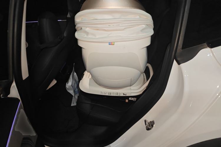 Used Tesla Model 3 2023 Rear-Wheel-Drive Version Left Rear Seat