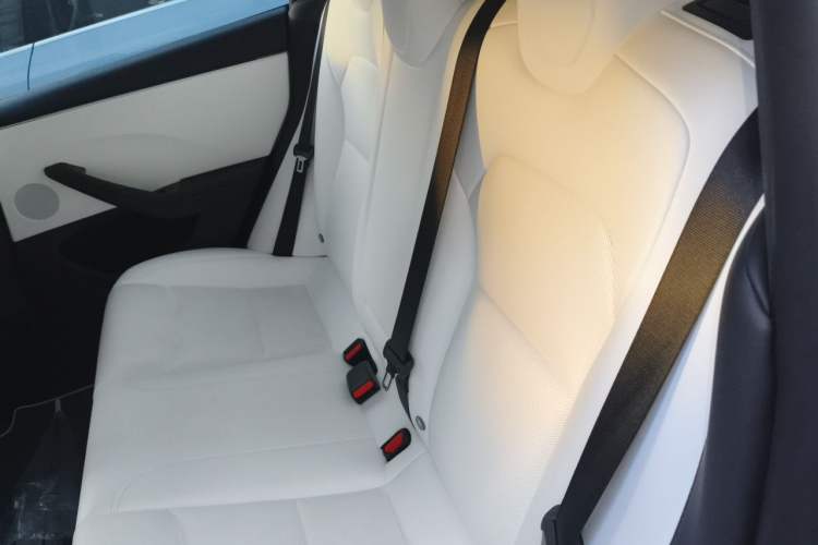 Used Tesla Model 3 2023 Rear-Wheel-Drive Version Left Rear Seat