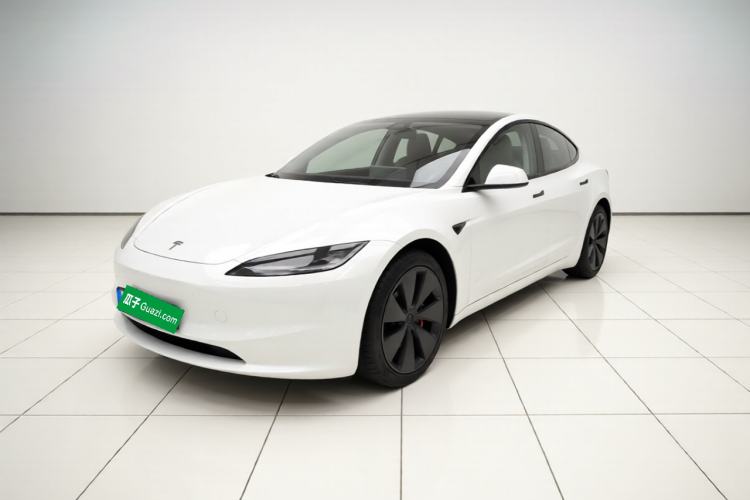 Tesla Model 3 2023 Rear-Wheel-Drive Version