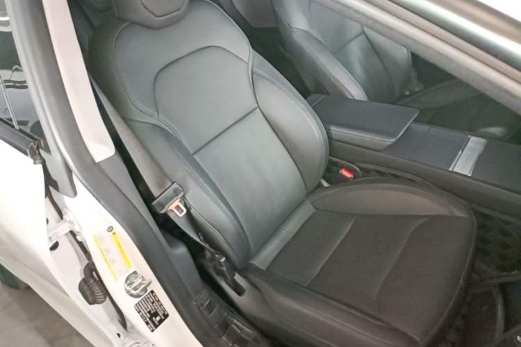 Used Tesla Model 3 2023 Rear-Wheel-Drive Version Right Front Seat