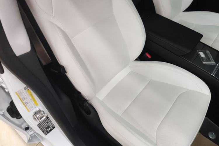 Used Tesla Model 3 2023 Long-Range All-Wheel-Drive Version Right Front Seat