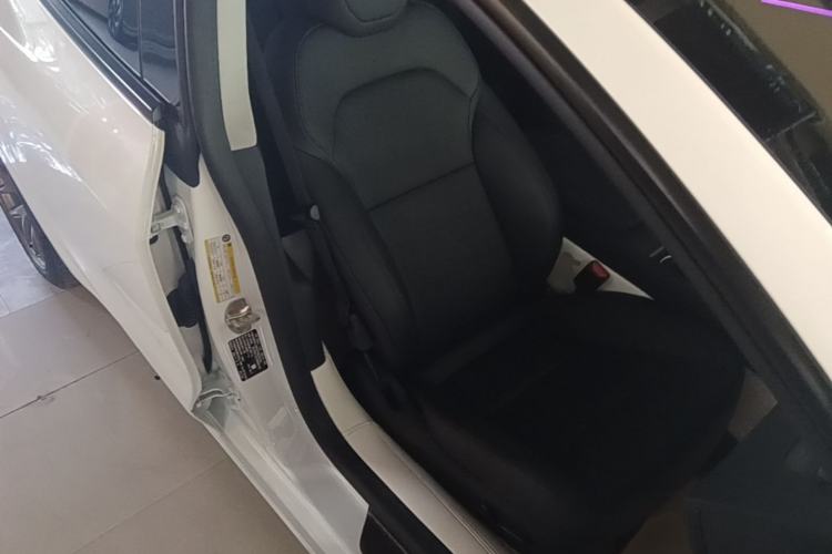 Used Tesla Model 3 2023 Rear-Wheel-Drive Version Right Front Seat