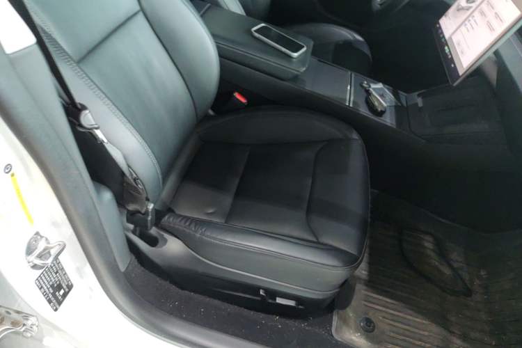 Used Tesla Model 3 2023 Rear-Wheel-Drive Version Right Front Seat