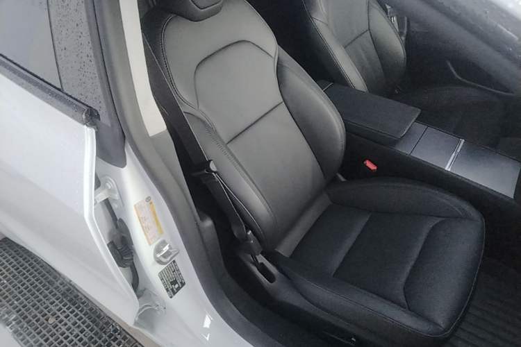 Used Tesla Model 3 2023 Long-Range All-Wheel-Drive Version Right Front Seat