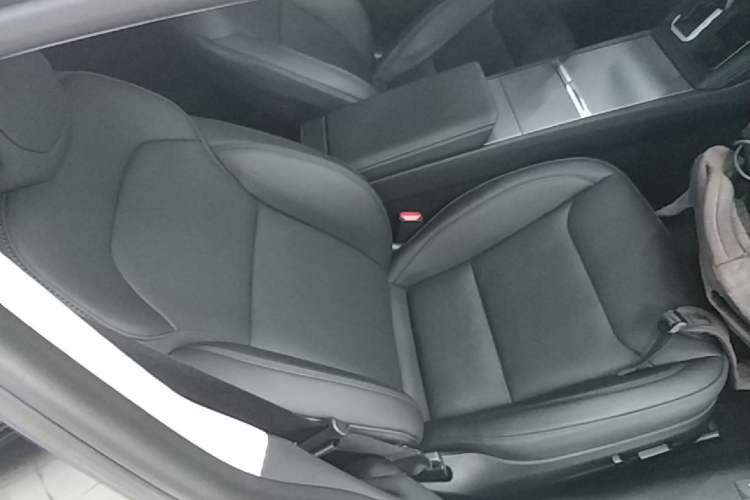 Used Tesla Model 3 2023 Long-Range All-Wheel-Drive Version Right Front Seat