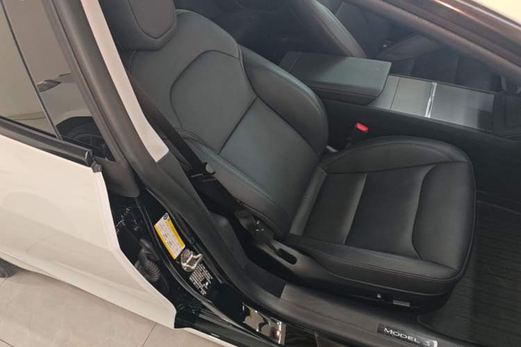 Used Tesla Model 3 2023 Long-Range All-Wheel-Drive Version Right Front Seat