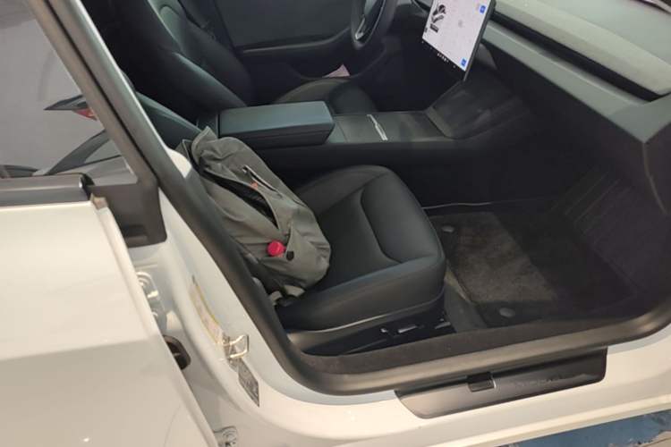 Used Tesla Model 3 2023 Rear-Wheel-Drive Version Right Front Seat