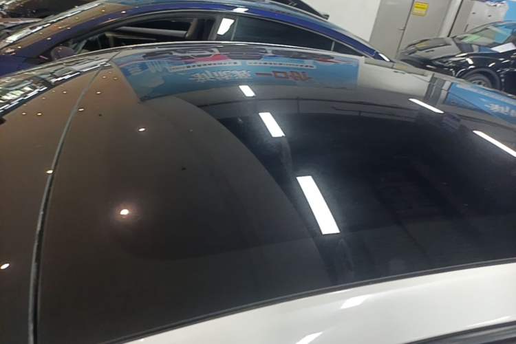 Used Tesla Model 3 2023 Rear-Wheel-Drive Version Roof