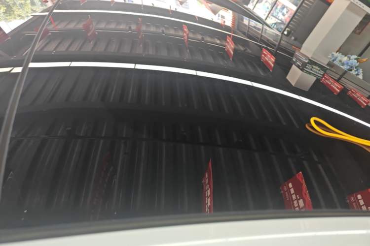 Used Tesla Model 3 2023 Rear-Wheel-Drive Version Roof