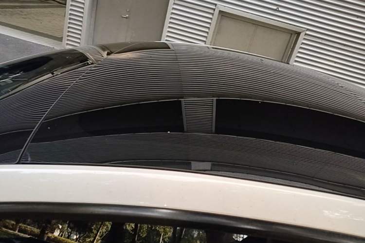 Used Tesla Model 3 2023 Rear-Wheel-Drive Version Roof