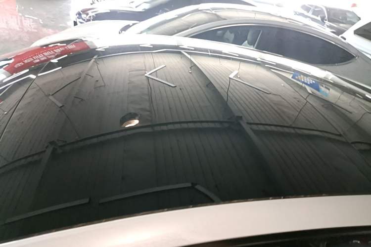 Used Tesla Model 3 2023 Rear-Wheel-Drive Version Roof