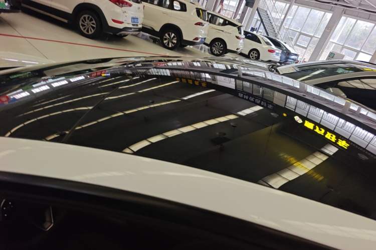 Used Tesla Model 3 2023 Rear-Wheel-Drive Version Roof