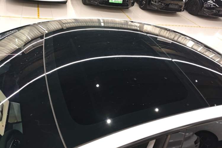Used Tesla Model 3 2023 Rear-Wheel-Drive Version Roof