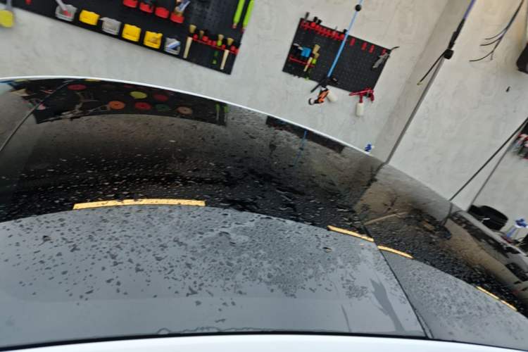 Used Tesla Model 3 2023 Rear-Wheel-Drive Version Roof