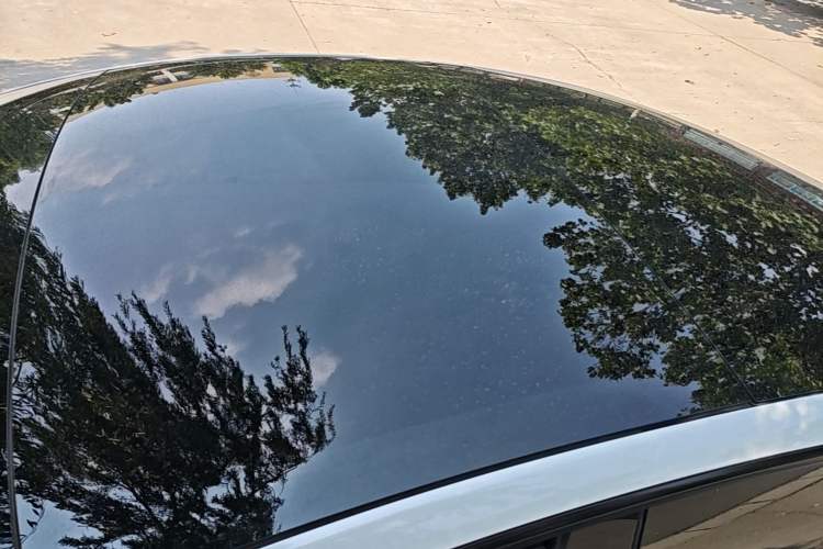 Used Tesla Model 3 2023 Rear-Wheel-Drive Version Roof
