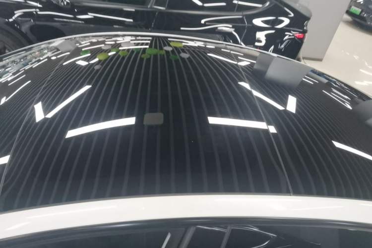 Used Tesla Model 3 2023 Rear-Wheel-Drive Version Roof