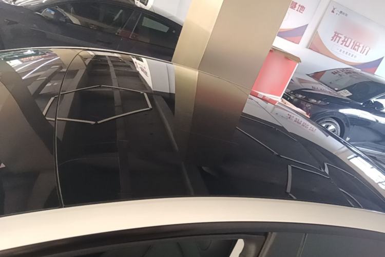 Used Tesla Model 3 2023 Rear-Wheel-Drive Version Roof