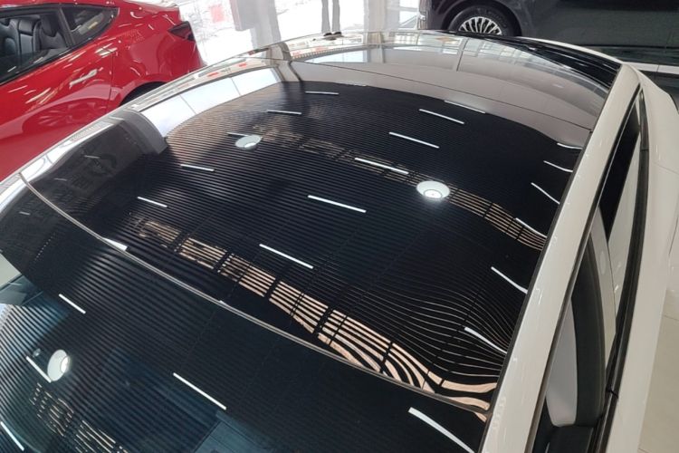 Used Tesla Model 3 2023 Rear-Wheel-Drive Version Roof