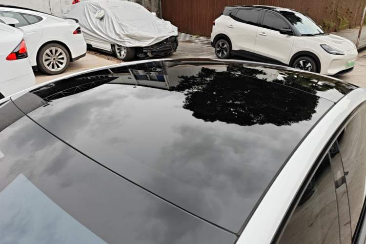 Used Tesla Model 3 2023 Rear-Wheel-Drive Version Roof