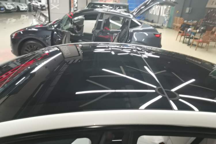 Used Tesla Model 3 2023 Long-Range All-Wheel-Drive Version Roof