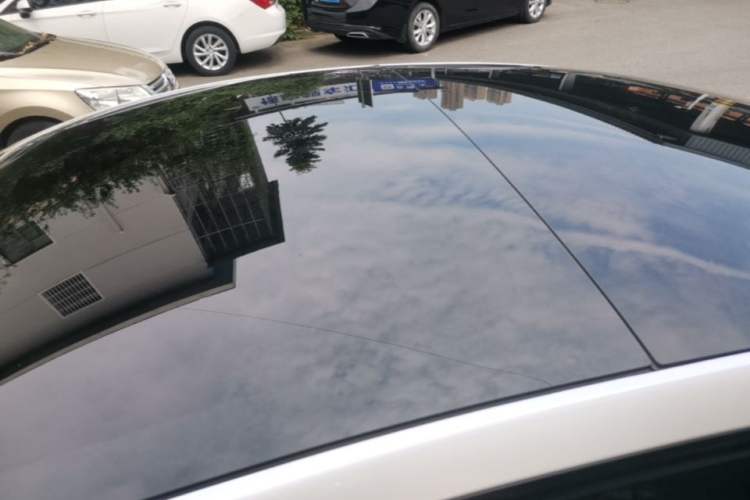 Used Tesla Model 3 2023 Rear-Wheel-Drive Version Roof