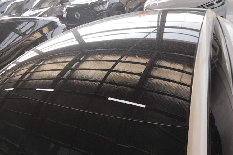 Used Tesla Model 3 2023 Rear-Wheel-Drive Version Roof