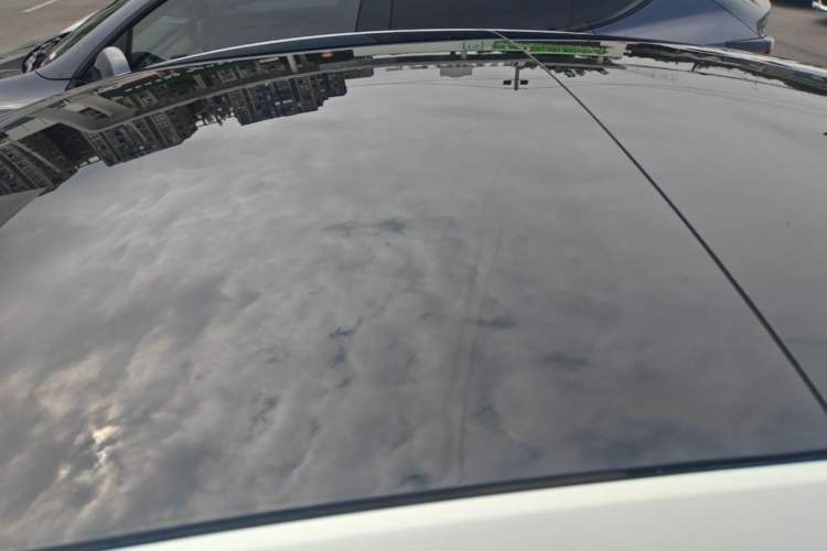 Used Tesla Model 3 2023 Long-Range All-Wheel-Drive Version Roof
