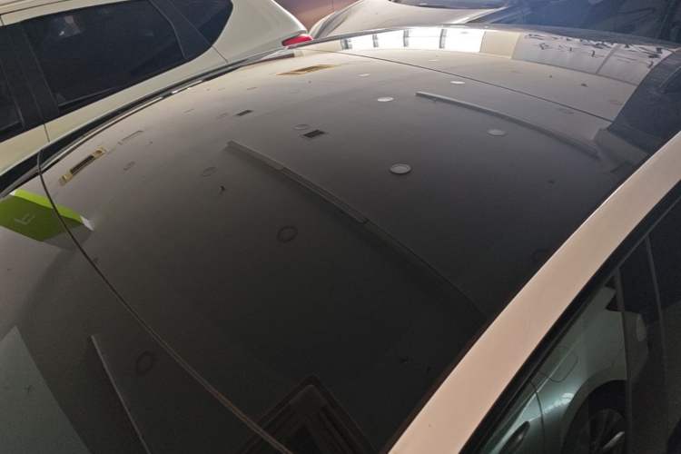 Used Tesla Model 3 2023 Long-Range All-Wheel-Drive Version Roof