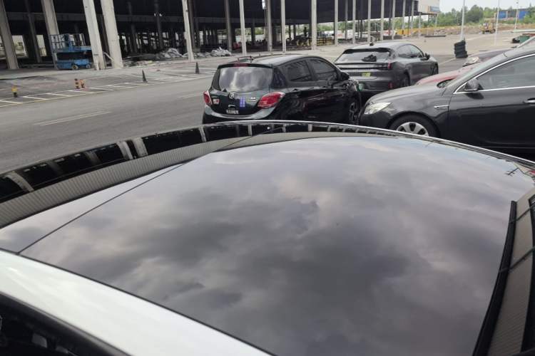 Used Tesla Model 3 2023 Rear-Wheel-Drive Version Roof