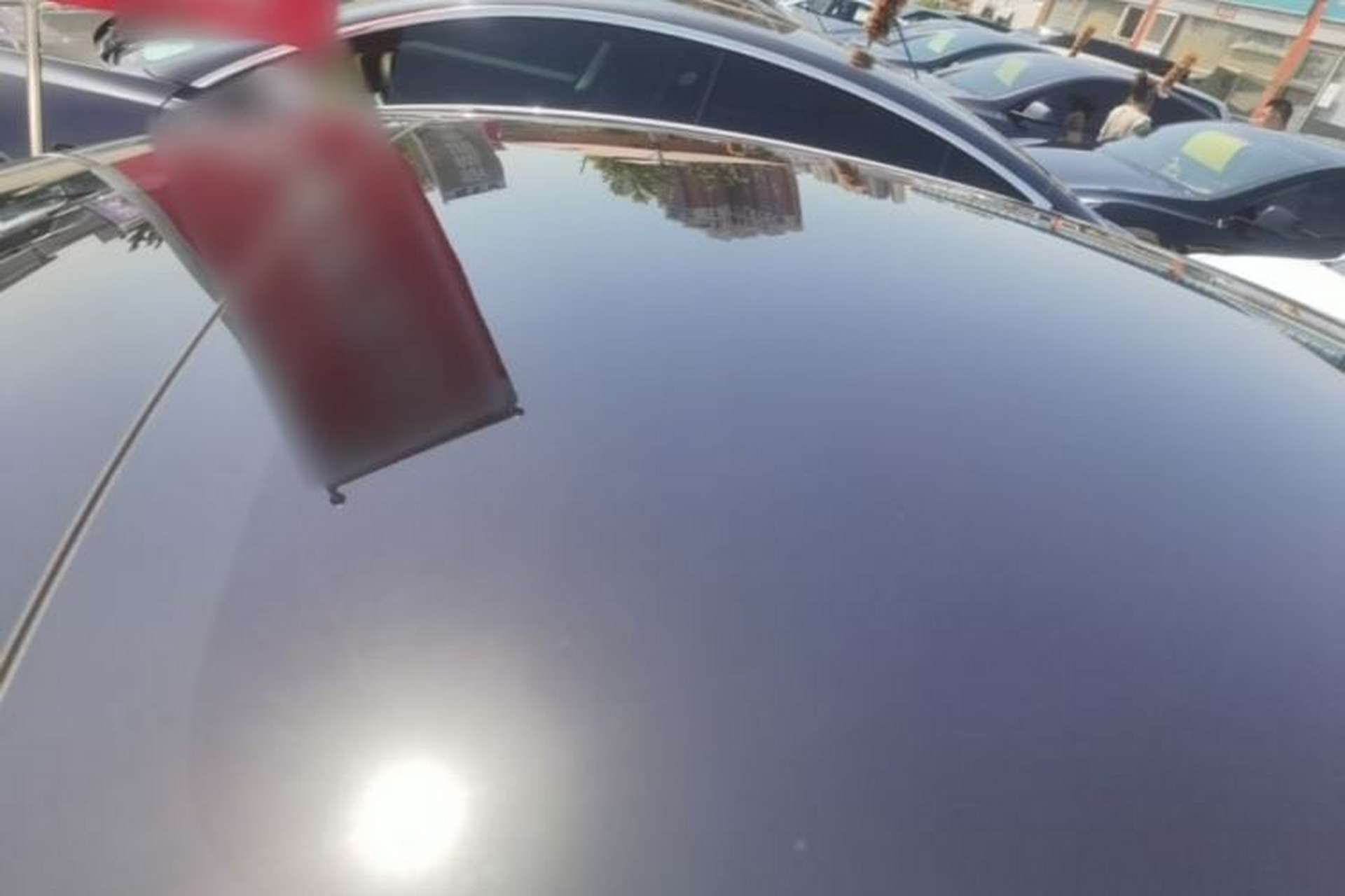 Used Tesla Model 3 2023 Rear-Wheel-Drive Version Roof