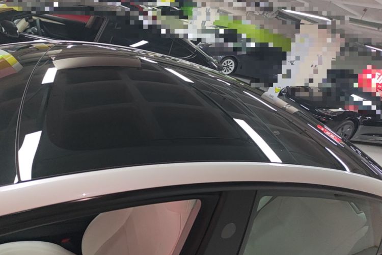 Used Tesla Model 3 2023 Rear-Wheel-Drive Version Roof