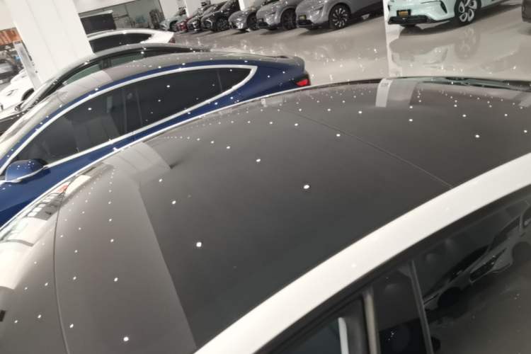 Used Tesla Model 3 2023 Rear-Wheel-Drive Version Roof