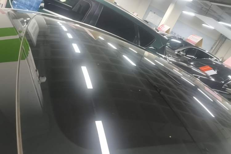 Used Tesla Model 3 2023 Rear-Wheel-Drive Version Roof