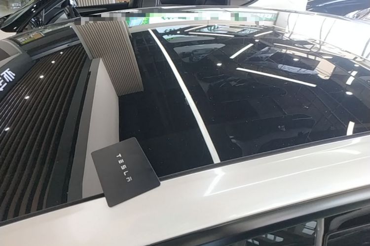 Used Tesla Model 3 2023 Rear-Wheel-Drive Version Roof