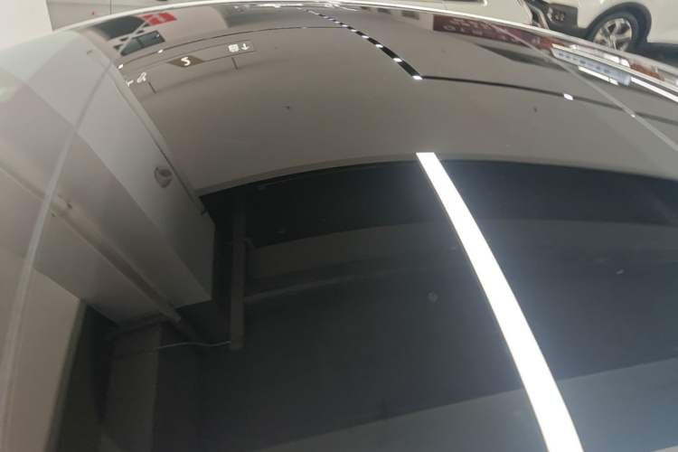 Used Tesla Model 3 2023 Rear-Wheel-Drive Version Roof
