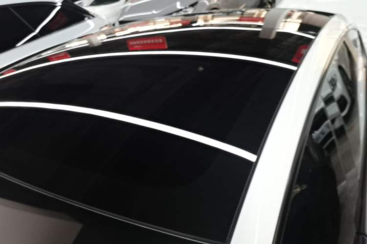 Used Tesla Model 3 2023 Rear-Wheel-Drive Version Roof