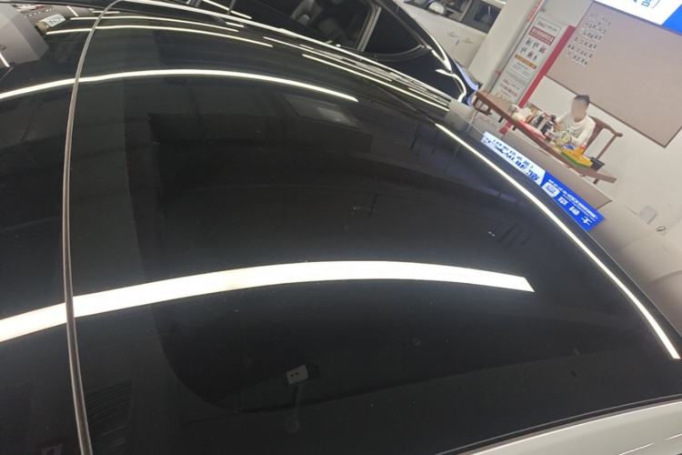 Used Tesla Model 3 2023 Rear-Wheel-Drive Version Roof