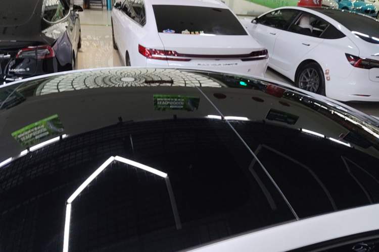 Used Tesla Model 3 2023 Rear-Wheel-Drive Version Roof