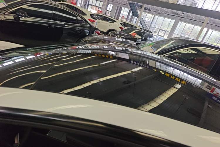 Used Tesla Model 3 2023 Rear-Wheel-Drive Version Roof