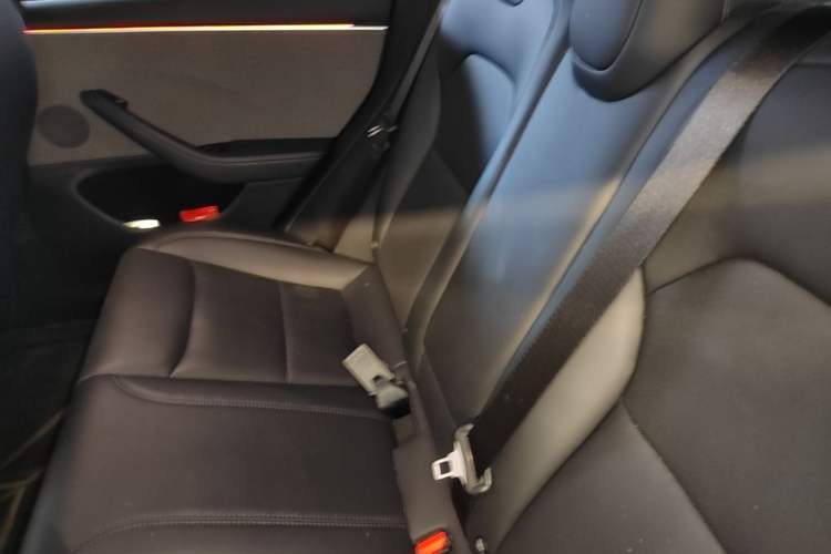 Used Tesla Model 3 2023 Rear-Wheel-Drive Version Left Rear Seat