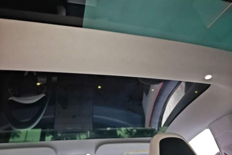 Used Tesla Model 3 2024 High-Performance All-Wheel-Drive Version Headliner