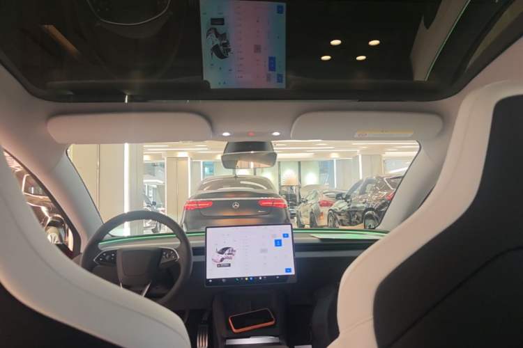 Used Tesla Model 3 2024 High-Performance All-Wheel-Drive Version Headliner