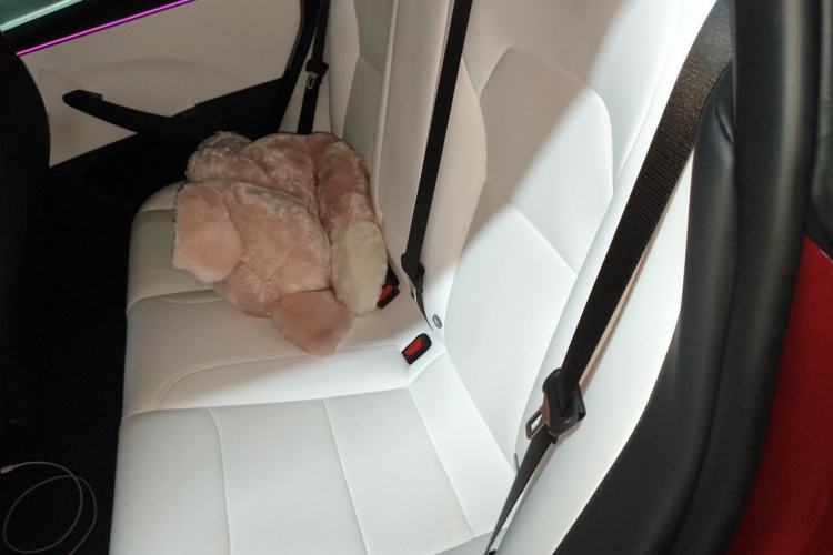 Used Tesla Model 3 2024 High-Performance All-Wheel-Drive Version Left Rear Seat